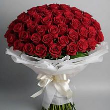 Букет 101 Красная роза Блэк Мэджик в Терновке