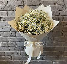 Букет цветов из:  Ромашки #REPLACE_PRED# Терновке