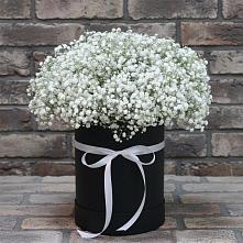 Цветочная композиция из Гипсофила в шляпной коробке в Терновке