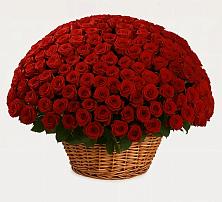 Премиум букет из: Розы в Терновке